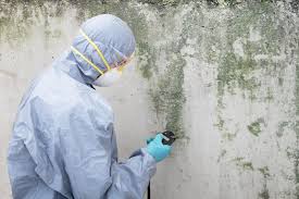 Best Real Estate Mold Inspection  in Triangle, VA